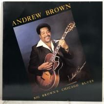 ANDREW BROWN / BIG BROWN'S CHICAGO BLUES / LP BM9001