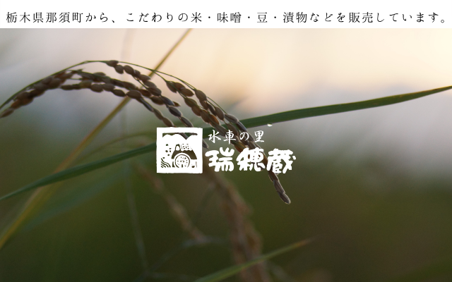 白米5Kg袋（那須厳選コシヒカリ 令和6年度産）／ご注文はお米全
