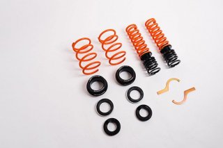 MSS Sports Fully Adjustable Kit - C-class C43 &C63 Coupe (C205)