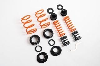 MSS Track  Fully Adjustable Kit - RS3 SEDAN