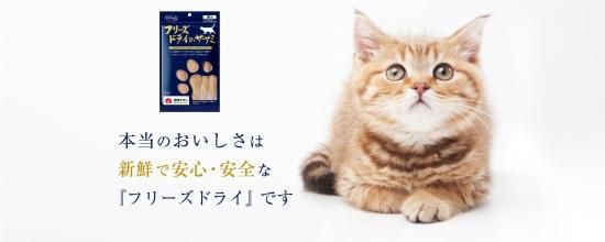 フリーズドライ ササミ 猫用 30g 鳥ささみ わんにゃんずきっちん 犬猫の安全食材北海道産最高級エゾ鹿肉とおやつ 犬猫手作りごはん のプロが選ぶ生肉とおやつのショップ フリーズドライ ササミ 猫用 30g 鳥ささみ わんにゃんずきっちん 犬猫の安全食材北海道産最高級エゾ鹿肉とおやつ 犬猫手作りごはん のプロが選ぶ生肉とおやつのショップ