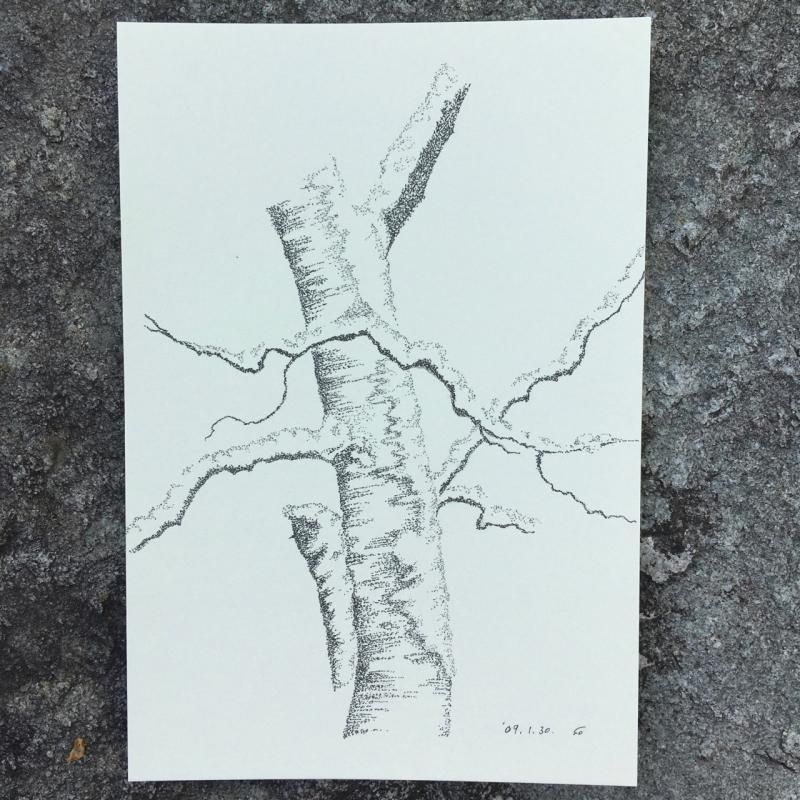 カラー    点描画 倉本聰点描画 ポストカード 11枚セット【ゆうパケット可