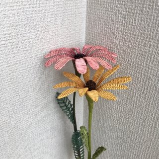 籐の花 エキナセア・ルドベキア2本セット＜y-3・4＞