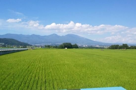 2024年新米》五郎兵衛さんのお米【10kg・白米】 - 縁shop5 2024年新米》五郎兵衛さんのお米【10kg・白米】 - 縁shop5