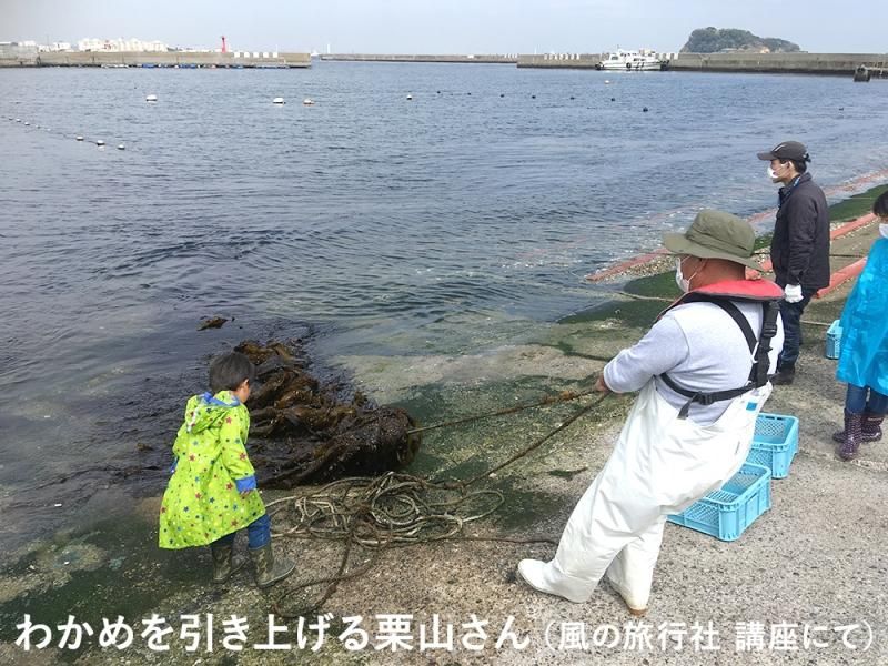 東京湾 猿島の海の幸 Aセット 湯通し猿島わかめと早煮こんぶ 風の縁shop