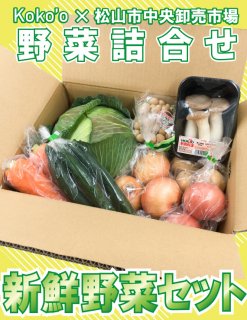 新鮮野菜セット〈８種〉　　