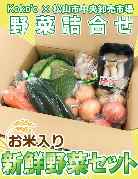 新鮮野菜セット - 野菜