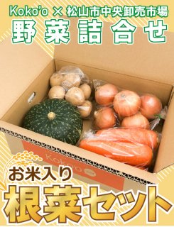 【お米入り】根菜セット〈４種〉