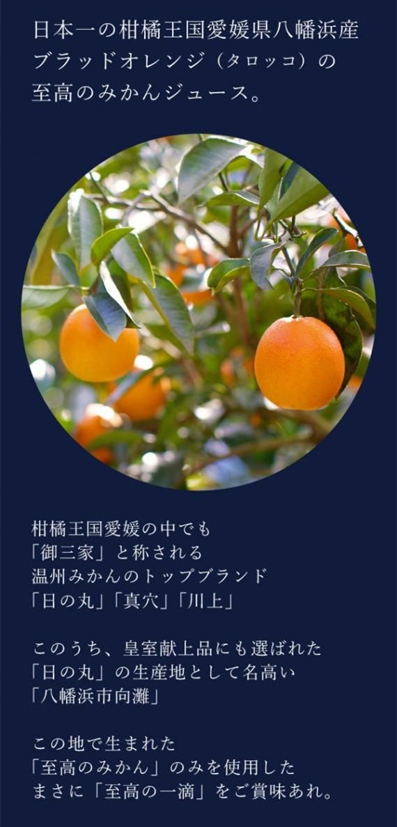 えるも　愛媛県産　ブラッドオレンジ　タロッコ　柑橘　15kg 愛媛県産 タロッコ ブラッドオレンジ 柑橘 15kg