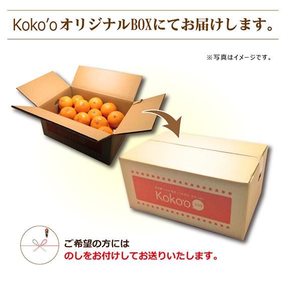kitty corn!大坊みかん、秀品(贈答品同様)2S、S,2kg×4箱 送料無料】愛媛県産ブランドかんきつ『媛太陽みかん』〈秀品〉約5㎏