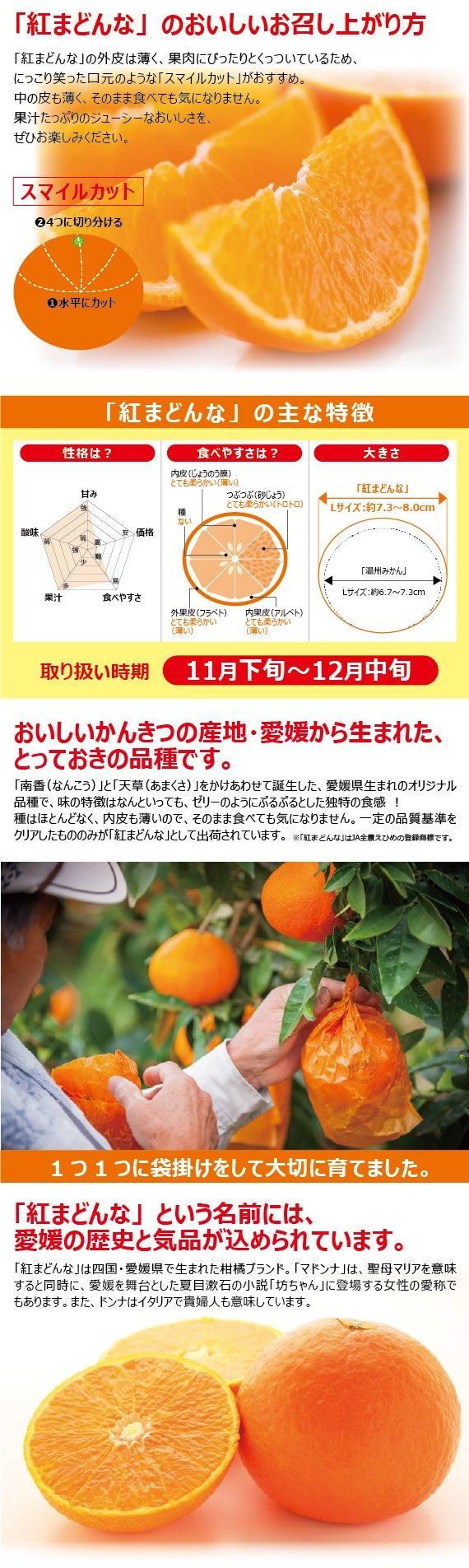 送料無料】愛媛県産高級かんきつ・紅まどんな〈秀品〉〈高級化粧箱入り〉約3kg 送料無料】愛媛県産高級かんきつ・紅まどんな〈秀品〉〈高級化粧箱入り〉約3kg