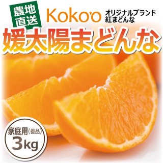 まとめ買い特価】愛媛県産地直送 こだわりみかんジュレ「いちずみ」50