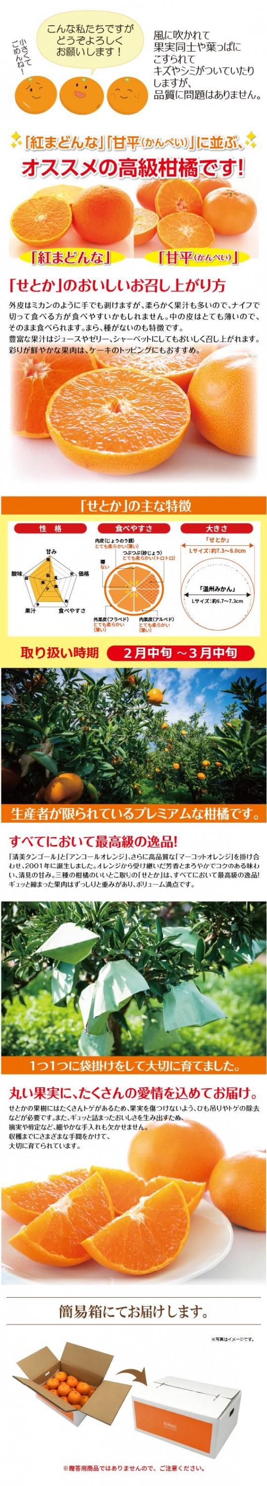 送料無料】ちいさなせとかちゃん〈小玉〉約3kg