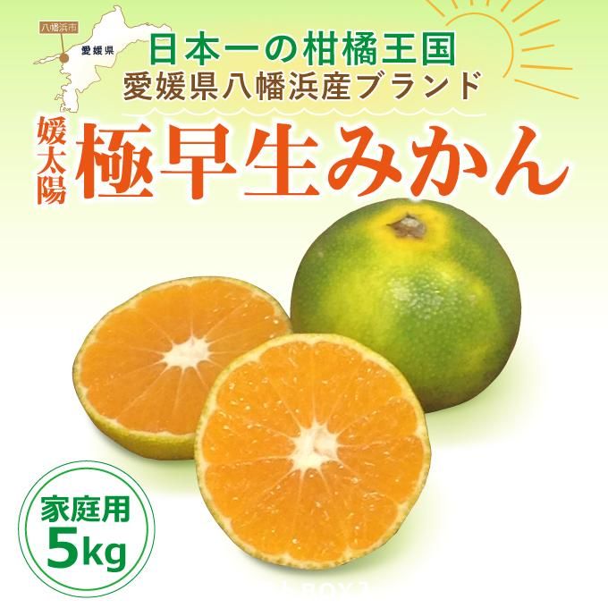 完売いたしました※農家直送!愛媛の職人が選び抜いた「極早生みかん
