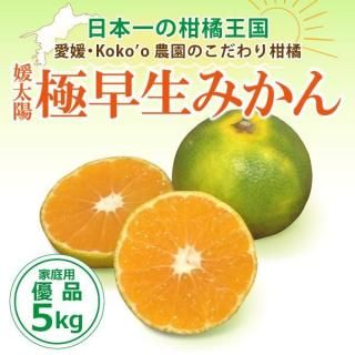 <img class='new_mark_img1' src='https://img.shop-pro.jp/img/new/icons25.gif' style='border:none;display:inline;margin:0px;padding:0px;width:auto;' />ͽ梨ɲֶߤסҲѡͥʡ5kg