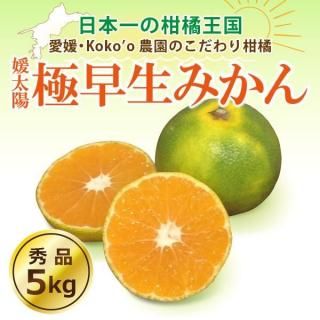 <img class='new_mark_img1' src='https://img.shop-pro.jp/img/new/icons25.gif' style='border:none;display:inline;margin:0px;padding:0px;width:auto;' />ͽ梨ɲֶߤסҽʡ5kg