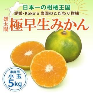 <img class='new_mark_img1' src='https://img.shop-pro.jp/img/new/icons25.gif' style='border:none;display:inline;margin:0px;padding:0px;width:auto;' />ͽ梨ɲֶߤסҲѡ̡5kg