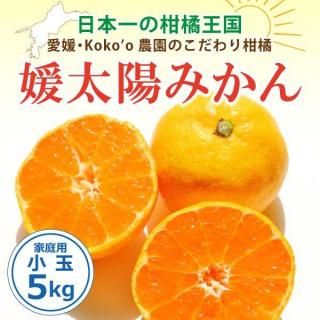 <img class='new_mark_img1' src='https://img.shop-pro.jp/img/new/icons61.gif' style='border:none;display:inline;margin:0px;padding:0px;width:auto;' />ڢͽ梨̵ۡ۰ɲֲߤ-ɲۤߤ-Ҳѡ̡5