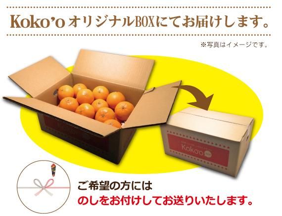 りー 8kg（4kg×2箱）カラマンダリン 香川県産　贈答品にも Amazon.co.jp: みかん 完熟春みかん カラマンダリン みきゃん