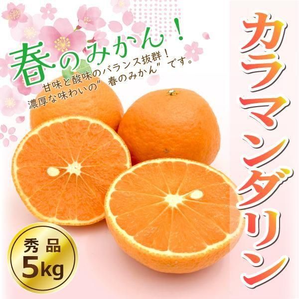 送料無料】”春のみかん” カラマンダリン〈秀品〉約5kg