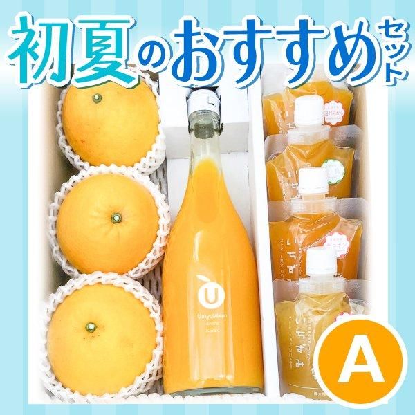 愛媛県産みかんジュース3種詰め合わせ 720ml 12本セット 愛媛県産みかんジュース3種詰め合わせ 720ml 12本セット 送料