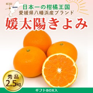 【送料無料】愛媛県産・きよみ〈秀品・ギフトBOX入〉約2.5�
