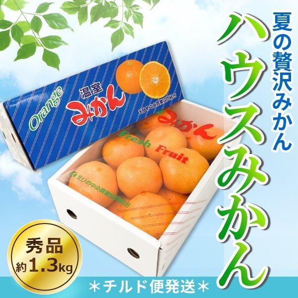 ハウスみかん　約10キロ 愛媛県産　訳あり　農家直送 10-0.jpg