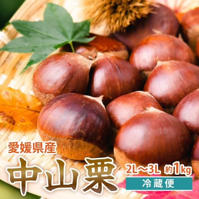 幻の栗⭐︎中山栗2L~4L混合10kgクール便（匿名不可）農家直送2025-019 幻の栗⭐︎中山栗2L~4L混合10kgクール便（匿名不可）農家直送