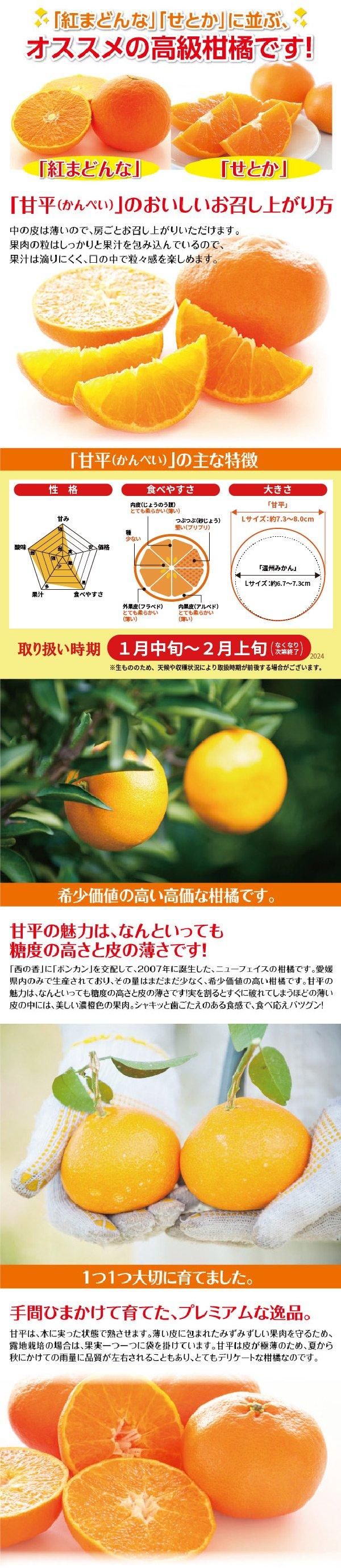 甘平（かんぺい）」の産地は愛媛県！愛媛のブランドみかん「甘平