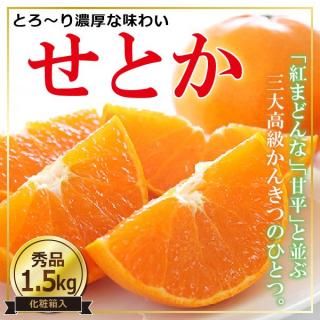 <img class='new_mark_img1' src='https://img.shop-pro.jp/img/new/icons61.gif' style='border:none;display:inline;margin:0px;padding:0px;width:auto;' />佪λ̵۹֥ɤ󤭤ġ֤Ȥסҽʡ£ Ȣ1.5kg2L3L56̡
