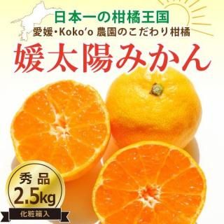 <img class='new_mark_img1' src='https://img.shop-pro.jp/img/new/icons61.gif' style='border:none;display:inline;margin:0px;padding:0px;width:auto;' />ڢͽ梨̵ۡ۰ɲֲߤ-ɲۤߤ-ҽʡȢ2.5