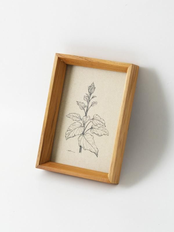 ̿ΩơʤϤˡۥե졼 ݥȥ