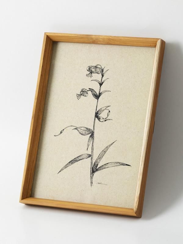 ̿Ωơʥԡѻ極ˡۥե졼 A4