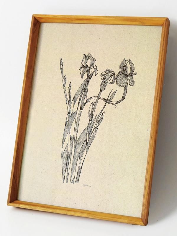 ڤΤ̤ŻäΥե졼ۥե졼 A3