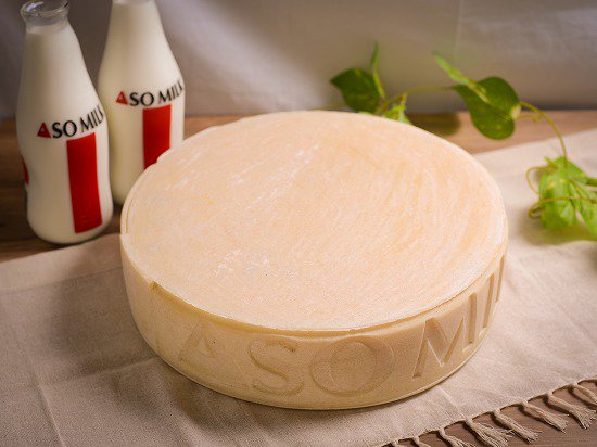 チーズ Aso Milk Cheese セミハード ホール 通販 熊本 阿蘇 国産