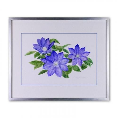 <img class='new_mark_img1' src='https://img.shop-pro.jp/img/new/icons14.gif' style='border:none;display:inline;margin:0px;padding:0px;width:auto;' />ޥClematis<224330mm> ƣ