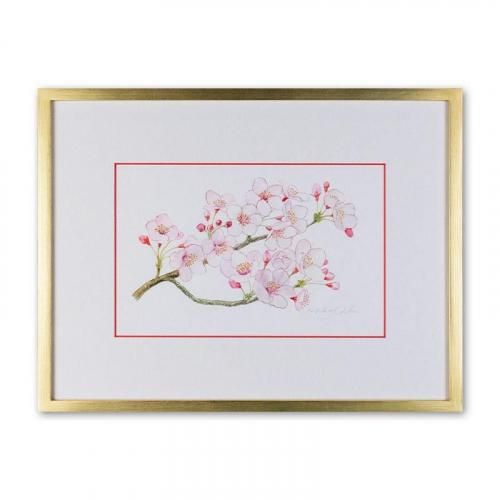 <img class='new_mark_img1' src='https://img.shop-pro.jp/img/new/icons14.gif' style='border:none;display:inline;margin:0px;padding:0px;width:auto;' />Sakura<257182mm> ƣ