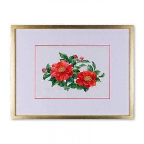 <img class='new_mark_img1' src='https://img.shop-pro.jp/img/new/icons14.gif' style='border:none;display:inline;margin:0px;padding:0px;width:auto;' />󤫡Camellia Sascanqua<257182mm> ƣ