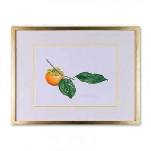 <img class='new_mark_img1' src='https://img.shop-pro.jp/img/new/icons14.gif' style='border:none;display:inline;margin:0px;padding:0px;width:auto;' />Persimmon<257182mm> ƣ