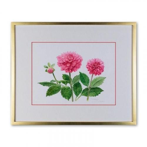 <img class='new_mark_img1' src='https://img.shop-pro.jp/img/new/icons14.gif' style='border:none;display:inline;margin:0px;padding:0px;width:auto;' />DahDahlia<257182mm> ƣ