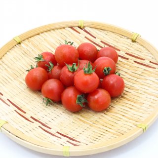 北海道産 もてもてネミニトマト