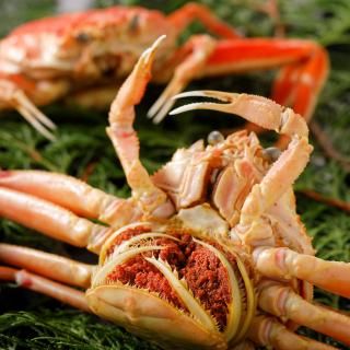 オーダーページ✭ちいさなカニパンセット（2個で1セット） オーダーページ✭ちいさなカニパンセット（2個で1セット）