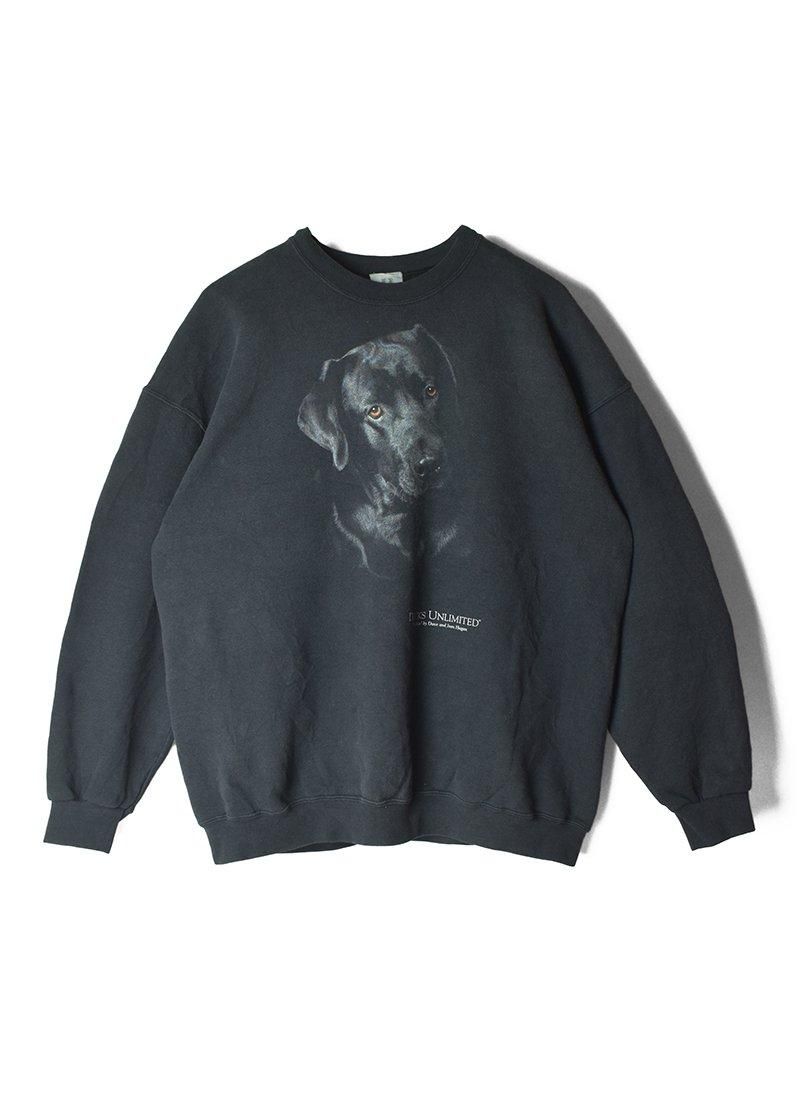 USED Labrador Retriever Sweat Shirts CY-16