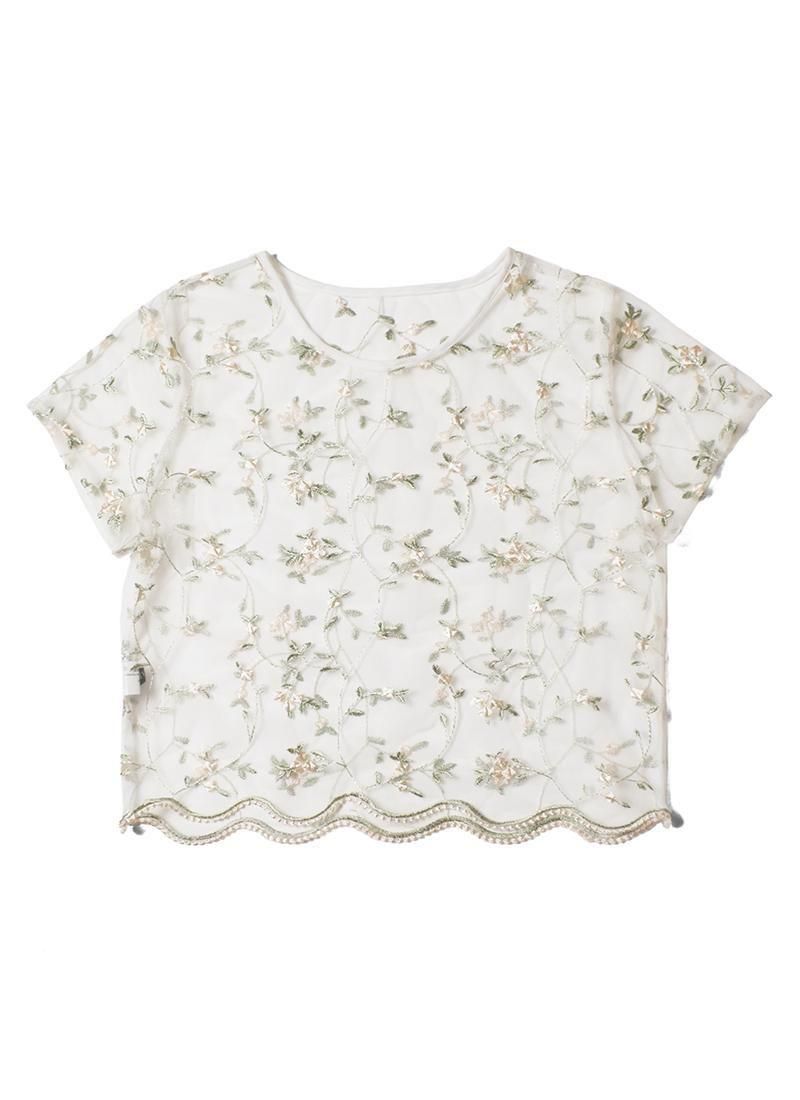 USED Sheer Lace Blouse DQ-2