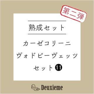 <img class='new_mark_img1' src='https://img.shop-pro.jp/img/new/icons46.gif' style='border:none;display:inline;margin:0px;padding:0px;width:auto;' />【熟成セット】カーゼコリーニ アキッレ2015とヴォドピーヴェッツ ヴィトフスカ2012 【2本セット】