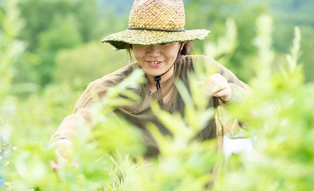 クラフトジンとは何か？