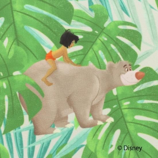 ディズニー ジャングル・ブック 限定アートプリント ディズニー ジャングル・ブック 限定アートプリント ジャングル