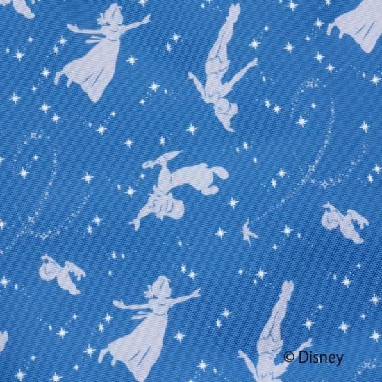 Disney 『 ピーター・パン 』 デザイン ティンカー・ベル PC