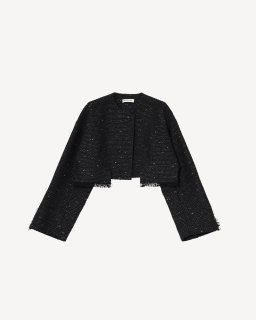 <img class='new_mark_img1' src='https://img.shop-pro.jp/img/new/icons1.gif' style='border:none;display:inline;margin:0px;padding:0px;width:auto;' />rito structure(23SS)　TWEED　CROPPED　JACKET　BLACK　