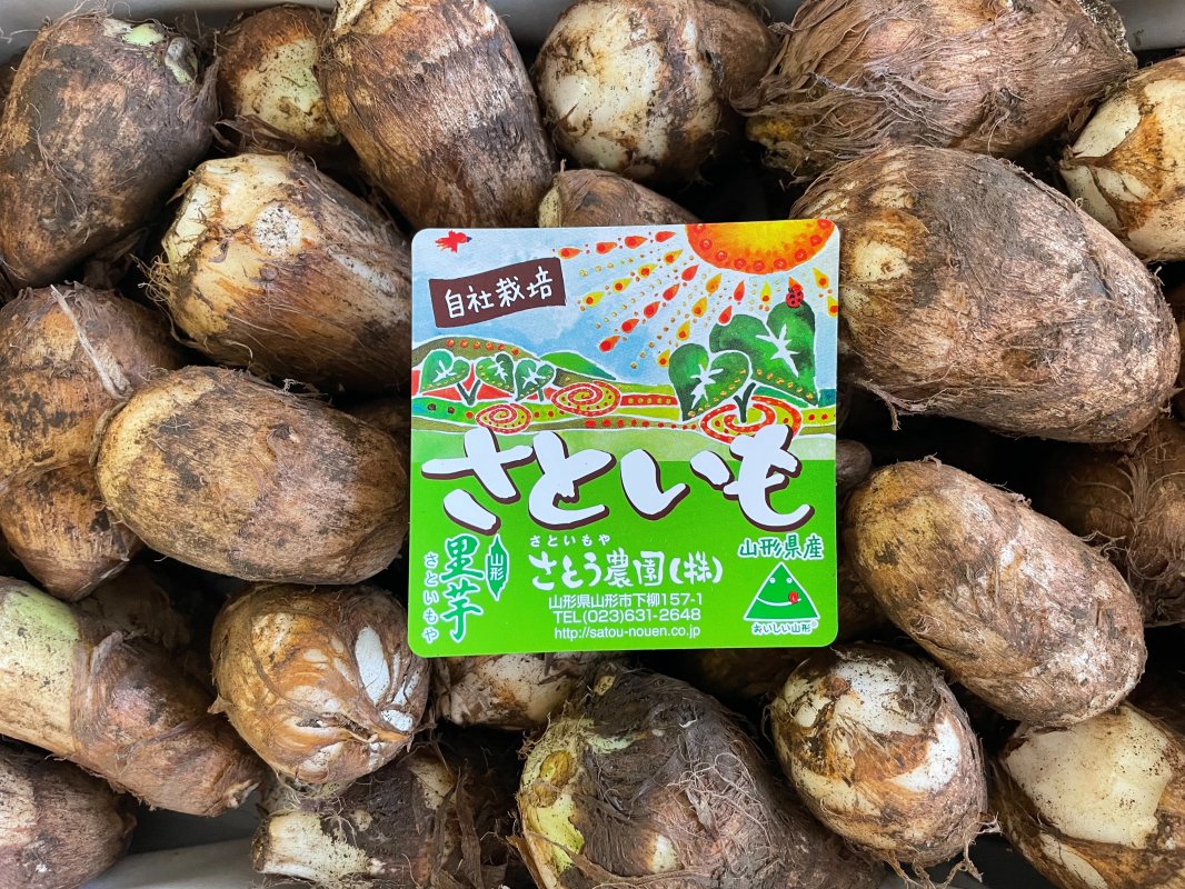 茨城県産 さといも 里芋 サトイモ 農薬不使用 約1.3kg（箱込）